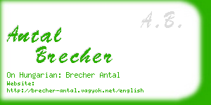 antal brecher business card